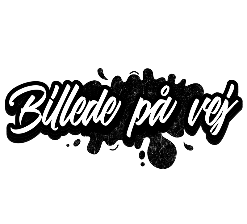 Led Ballon Hvid Lyskæde